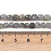 Natural Labradorite Beads Strands G-RM2025-C34-C-5