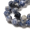 Natural Blue Spot Stone Beads Strands G-K382-A12-02-4
