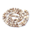 Natural Shell Beads Strands SSHEL-Q298-13-2