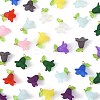 50Pcs Transparent Acrylic Pendants PALLOY-FS00043-05-3