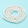 Electroplated Natural Shell Beads Strands SHEL-F008-03A-01-3