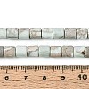 Natural Variscite Beads Strands G-T141-96A-5