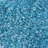 6/0 Transparent Inside Colours Glass Seed Beads SEED-N006-003D-3