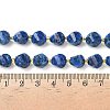 Dyed Natural Sesame Jasper/Kiwi Jasper Imitation Lapis Lazuli Beads Strands G-U023-A19-01-5