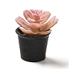 Opaque Resin Potted Plant Pendants LS-CRES-Z005-03B-1