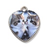 Alloy Pendant LS-FIND-H045-08P-02-1