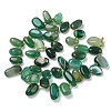 Natural Agate Beads Strands G-P604-A15-01-5