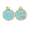 Alloy Enamel Pendants LS-ENAM-S124-01B-16J-2