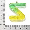 Resin Pendant FIND-Q107-01Z-02-3