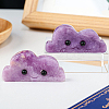 Natural Lepidolite Display Decorations G-PW0004-02C-1