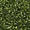 6/0 Glass Seed Beads X2-SEED-A005-4mm-24-3