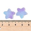 Imitation Candy Food Style Resin Cabochons X1-RESI-R461-02N-3
