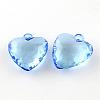 Transparent Acrylic Pendants TACR-R131-02-2