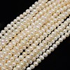 Natural Cultured Freshwater Pearl Beads Strands PEAR-N013-06I-1