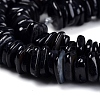 Natural Freshwater Shell Beads Strands SHEL-D078-01A-3