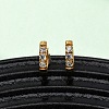 304 Stainless Steel Clear Cubic Zirconia Hoop Earrings EJEW-D331-18A-G-5