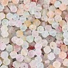 Frosted Glass Seed Beads SEED-N012-01A-3