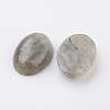 Natural Labradorite Flat Back Cabochons X-G-G741-18x25mm-18-2