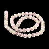 Natural Selenite Beads Strands G-P493-01P-4