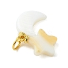 Natural Freshwater Shell Pendants PALLOY-JF05399-2