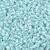 FGB Grade A Transparent Glass Seed Beads SEED-Q040-03A-02-4