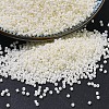MIYUKI Delica Beads LS-X-SEED-J020-DB0352-1