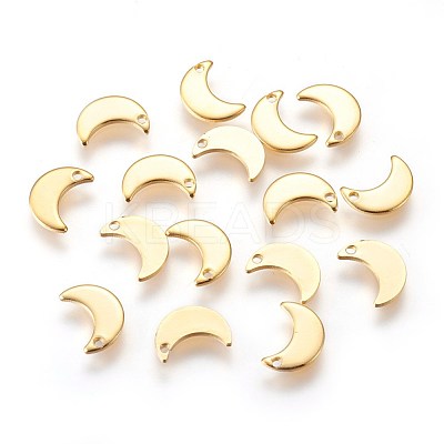 304 Stainless Steel Charms X-STAS-E447-08G-1