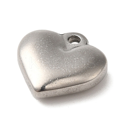 Non-Tarnish 304 Stainless Steel Pendants STAS-R223-02A-1