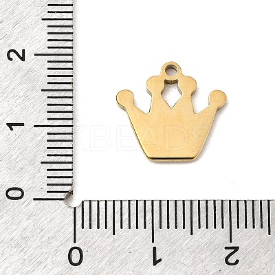 304 Stainless Steel Charms STAS-C162-06G-1