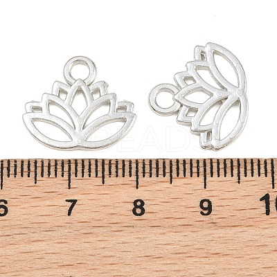 Tibetan Style Alloy Charms TIBEP-36884-P-RS-1