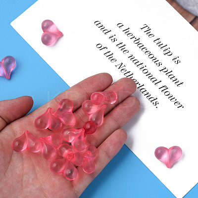 Transparent Acrylic Beads MACR-S373-70-B04-1
