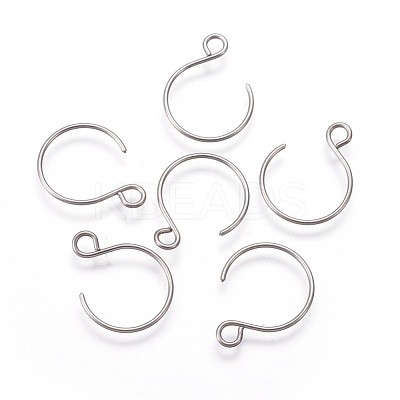 Tarnish Resistant 304 Stainless Steel Earring Hooks STAS-O119-10P-B-1