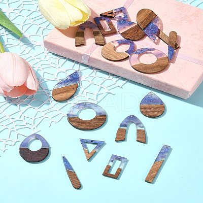 18Pcs 9 Styles Transparent Resin & Walnut Wood Pendants RESI-FS0001-78-1