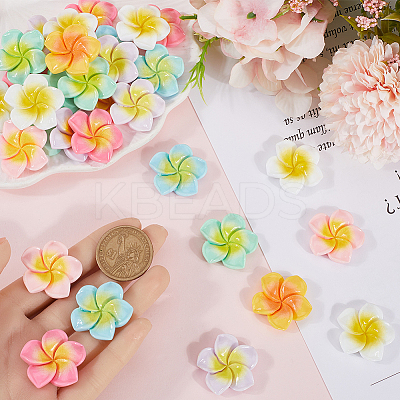70Pcs 7 Colors Opaque Resin Decoden Cabochons RESI-SC0005-83B-1