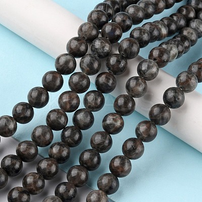 Natural Labradorite Beads Strands G-G0003-C03-12mm-1