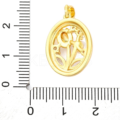 Brass Micro Pave Cubic Zirconia Pendants LS-KK-A232-10G-1