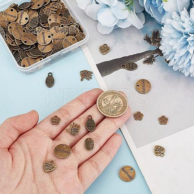 180Pcs 6 Styles Tibetan Style Alloy Pendants TIBEP-AR0001-13-1