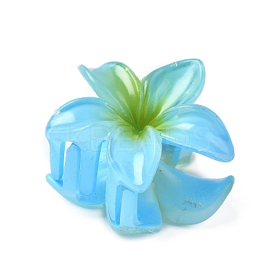Plastic Claw Hair Clips PW-WG07B2B-05-1
