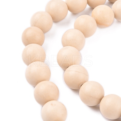Natural Fossil Beads Strands X-G-E110-10mm-2-1