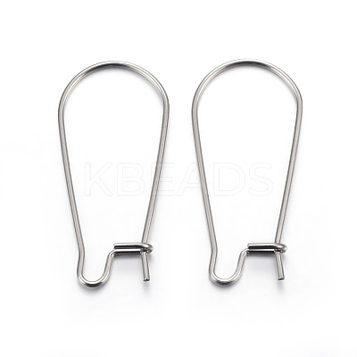 Tarnish Resistant 304 Stainless Steel Hoop Earring Findings STAS-P223-01P-03-1