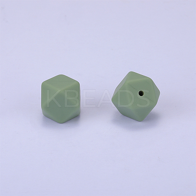 Hexagonal Silicone Focal Beads SI-JX0020A-104-1
