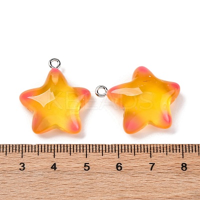 Marine Series Transparent Resin Pendants RESI-E031-02P-05-1