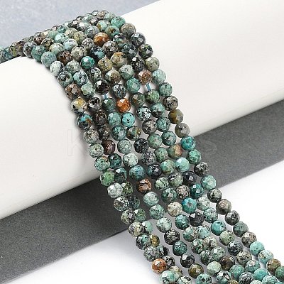 Natural African Turquoise(Jasper) Beads Strands LS-G-N342-29B-1