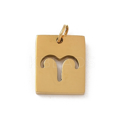 304 Stainless Steel Charms STAS-R001-03G-01-1