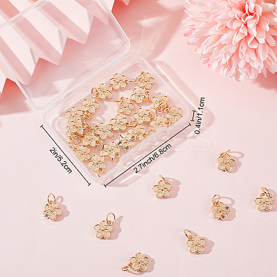 40Pcs Rack Plating Alloy Charms FIND-BBC0004-44-1