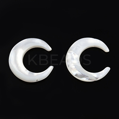 Natural White Shell Connector Charms SSHEL-N034-159-1