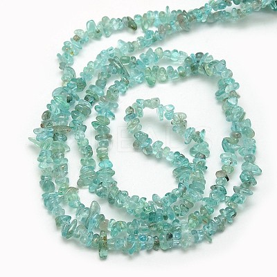 Natural Apatite Chip Beads Strands X-G-L154-23-1