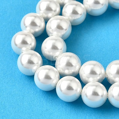 Rainbow Plated Shell Pearl Bead Strands X-BSHE-L025-02-8mm-1