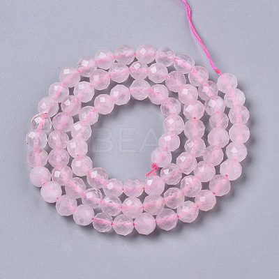 Natural Rose Quartz Beads Strands G-R465-10-1