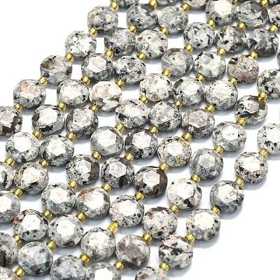 Natural Fluorescent Syenite Rock(Glow under UV Light) Beads Strands G-C116-A127-01-1